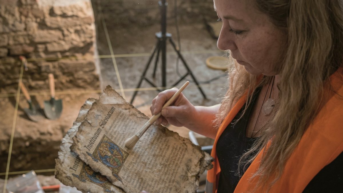 Najnowsze ustalenia naukowców!